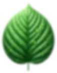 Ziemniaki Żuławskie
