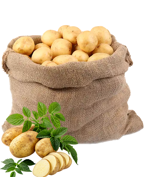 Ziemniaki Żuławskie